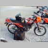 2004titz_018g.jpg