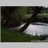 2008soli_011g.jpg